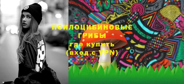 дурь Алзамай