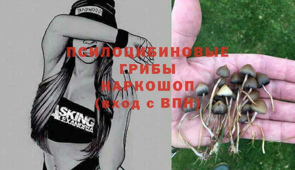 соль курить ск Алексеевка