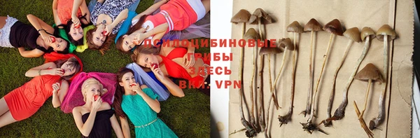 соль курить ск Алексеевка